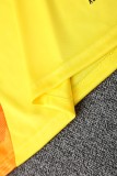 25-26 Atletico Mineiro Vest Training Suit/25-26米内罗竞技背心训练服