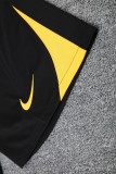 25-26 Inter Milan Vest Training Suit/25-26国米背心训练服