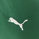 25-26 Palmeiras Home Woman Jersey/25-26帕尔梅拉斯主场女装