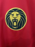2025 Cameroon Away Fans Jersey/2025喀麦隆客场球迷