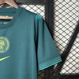 2025 Nigeria Away Fans Jersey/ 2025 尼日利亚客场球迷