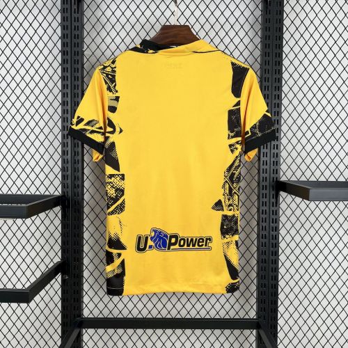 24-25 Inter Milan Third Fans Jersey/24-25 国米第二客场球迷