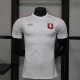 24-25 Lyon Special Jersey/24-25  里昂特别版
