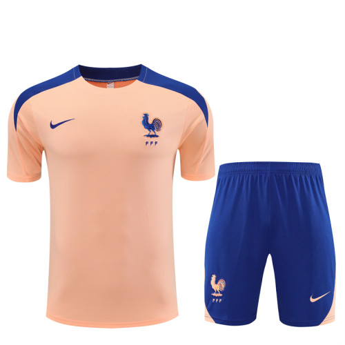 2025 France Short Sleeve Training Suit/2025法国短袖训练服