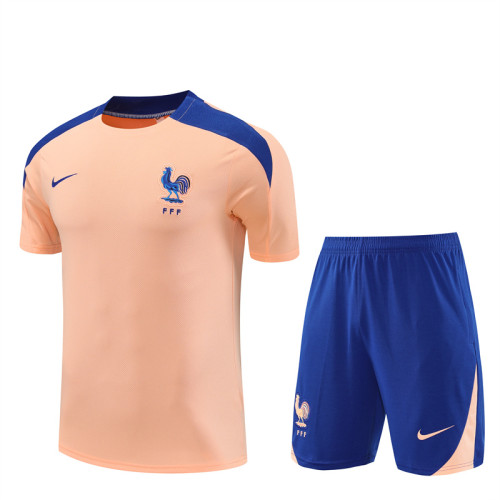 2025 France Short Sleeve Training Suit/2025法国短袖训练服
