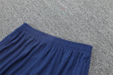 25-26 Barcelona Player Version Training Suit/25-26巴萨半拉训练服，球员版