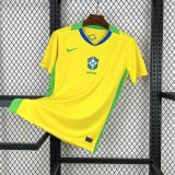 2025 Brazil Home Fans Jersey/2025 巴西主场球迷版