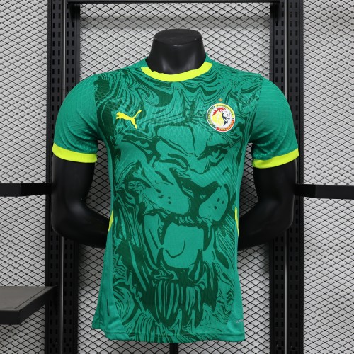 2025 Senegal Away Player Jersey/2025塞内加尔客场球员