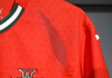 2025 Portugal Home High Quality Player Jersey/2025葡萄牙主场球员正确版