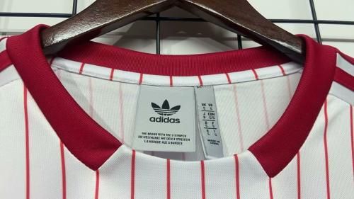 25-26 Benfica Speical Jersey/25-26 本菲卡客场特别版