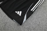 2025 Argentina Short Sleeve Training Suit/2025阿根廷短袖训练服