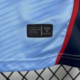 25-26 Celta Vigo Home Fans Jersey/ 25-26 塞尔塔主场球迷版
