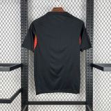 25-26 Benfica Training Fans Jersey/ 25-26 本菲卡训练服