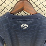 25-26 Celta Vigo Away Fans Jersey/ 25-26 塞尔塔客场球迷版