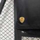 25-26 Sao Paulo Third Fans Jersey/ 25-26 圣保罗第二客场球迷版