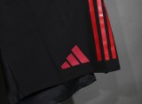 25-26 Liverpool Away Player Shorts/25-26利物浦客场球员短裤