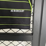 25-26 Celtic Away Fans Jersey/25-26 凯尔特人客场球迷