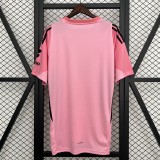 25-26 Benfica Speical Fans Jersey/ 25-26 本菲卡特别款球迷版