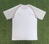 25-26 Lyon Away Fans Jersey /25-26 里昂客场球迷版