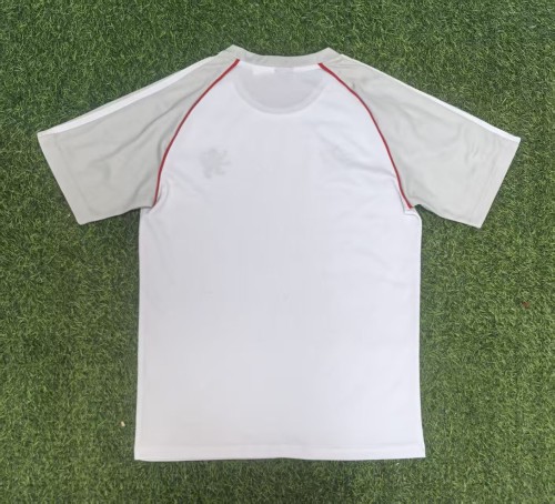 25-26 Lyon Away Fans Jersey /25-26 里昂客场球迷版