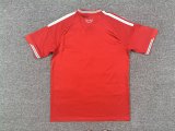 2026 Wales Home Fans Jersey / 2026威尔士主场球迷