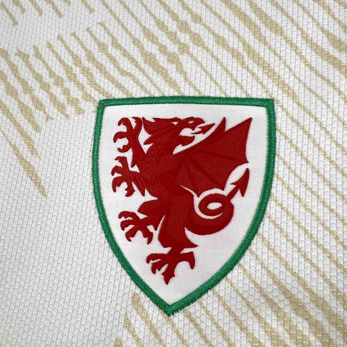 2026 Wales Away Fans Jersey / 2026威尔士客场球迷