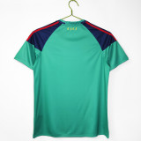 2010 Spain Green Goalkeeper Retro Jersey/2010西班牙绿色守门员