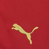 2026 World Cup Morocco Home Fans Jersey/2026 摩洛哥主场球迷
