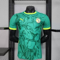 2025 Senegal Away 2 stars Player Jersey/2025塞内加尔客场球员2星