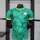 2025 Senegal Away 2 stars Player Jersey/2025塞内加尔客场球员2星
