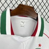 26-27 Palmeiras Away Fans Jersey/26-27 帕尔梅拉斯客场球迷版