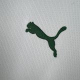 26-27 Palmeiras Away Fans Jersey/26-27 帕尔梅拉斯客场球迷版