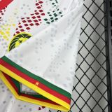 2026 Cameroon Away Fans Jersey/2026 喀麦隆客场球迷