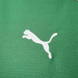 26-27 Palmeiras Home Fans Jersey/26-27 帕尔梅拉斯主场球迷版