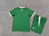 2026 Ireland Home Kid Kit/ 2026爱尔兰主场童装