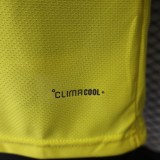 2026 Colombia Special Player Jersey/2026 哥伦比亚特别球员版