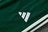 2026 Algeria Green Training Suit/2026 阿尔及利亚绿色半拉训练服