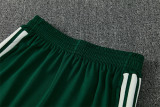 2026 Algeria Green Training Suit/2026 阿尔及利亚绿色半拉训练服