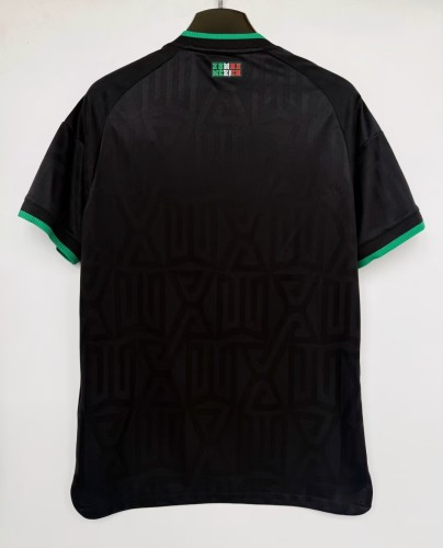 2026 World Cup Mexico Third Fans Jersey/ 2026 墨西哥第二客场球迷