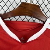 26-27 Internacional Home Fans Jersey/25-26巴西国际主场球迷版