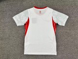 2026 Poland Home Fans Jersey/ 2026 波兰主场球迷