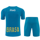 2026 Brazil Short Sleeve Training Suit/ 2026巴西短袖训练服