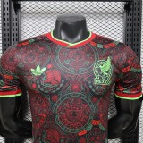 2026 World Cup Mexico Special Player Jersey/ 2026 墨西哥特别款球员