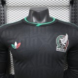 2026 World Cup Mexico Third Player Long Sleeve Jersey/ 2026 墨西哥第二客场球员长袖