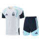 2026 Argentina Short Sleeve Training Suit/ 2026阿根廷短袖训练服