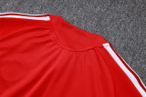 2026 Germany Red Jacket Suit/ 2026德国夹克套装