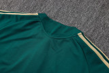 2026 Italy Green Jacket Suit/ 202意大利夹克套装