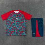 Portugal Short Sleeve Training Suit/2026葡萄牙短袖训练服
