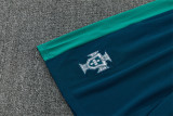 2026 Portugal Short Sleeve Training Suit/2026葡萄牙短袖训练服