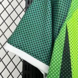 2026 Nigeria Home Away Jersey/ 2026 尼日利亚客场球迷